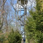 Heerenveen Lokaal stelt vragen aan college over Belvedere uitkijktoren