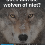 Heerenveen Lokaal wil actie vanuit de burgemesster en wethouders