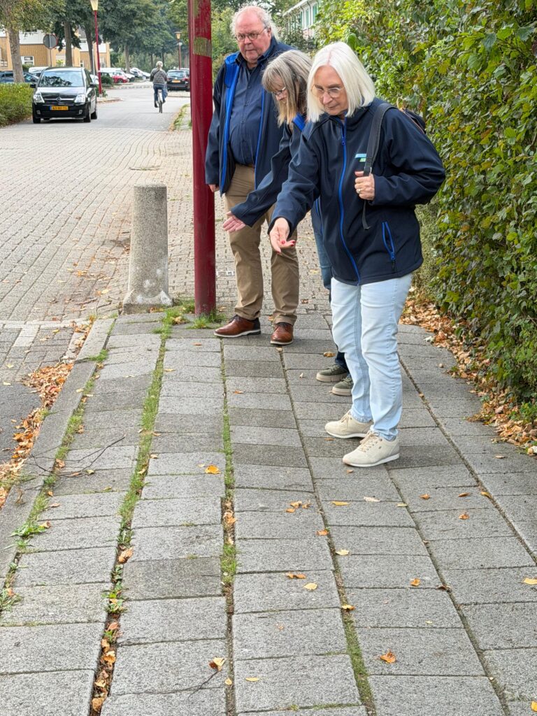 een afbeelding van de slechte voetpaden voor onze inwoners