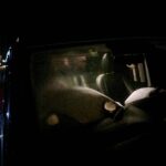 Aangereden damhert schoterlandseweg (2)