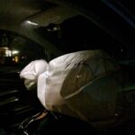 Aangereden damhert schoterlandseweg (4)